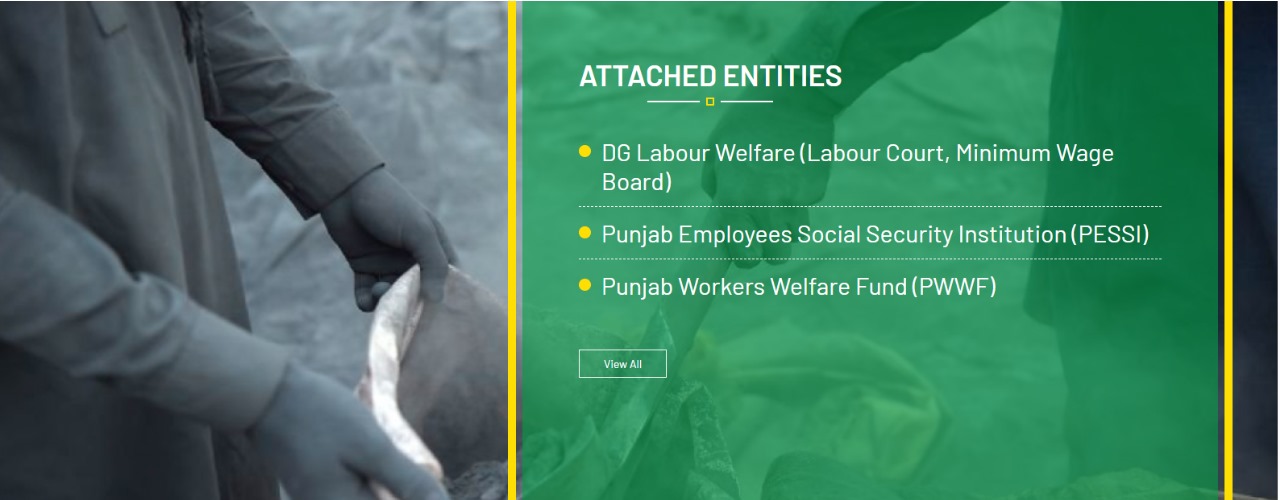 PWWF Punjab Free Flats