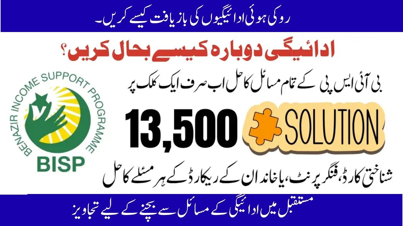 BISP Beneficiaries 2025: Reasons Behind Stopped 13,500 Payments & Quick Recovery Steps