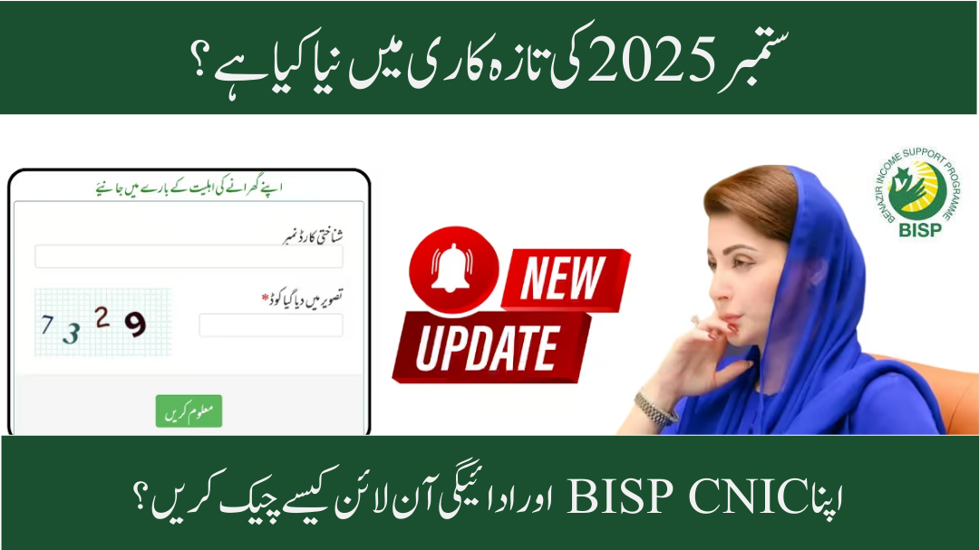 8171 Web Portal for BISP 2025 Now Updated – Check CNIC and Payments Online in September