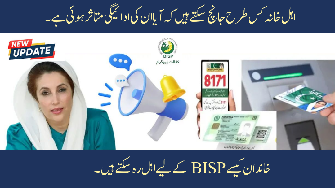 How Tax Records Are Affecting BISP Payments in 2025 – What Families Must Know