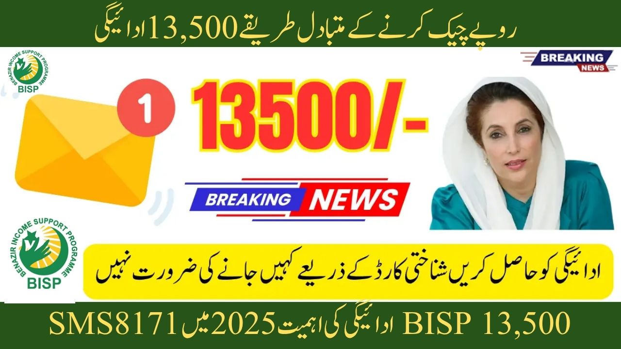 8171 SMS Service 2025 Issue: Know Alternative Method to Check 13,500 – Full Guide